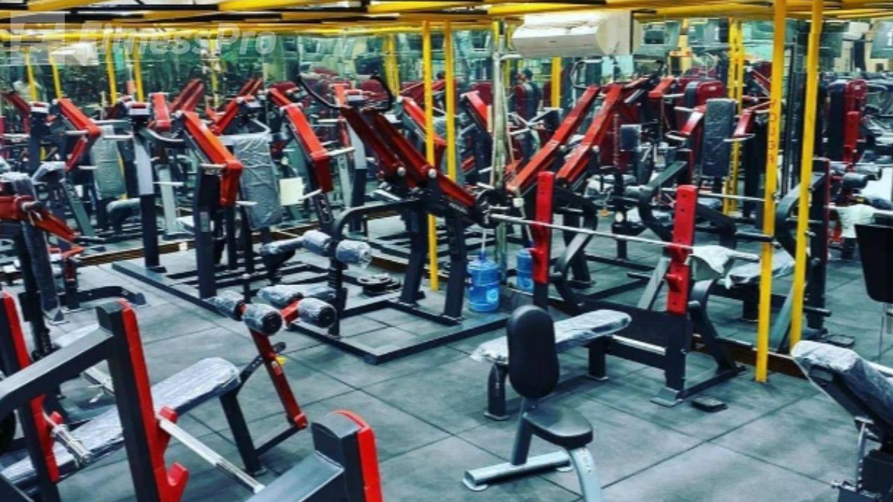 باشگاه آوا وی آی پی (ava vip gym) آقایان 