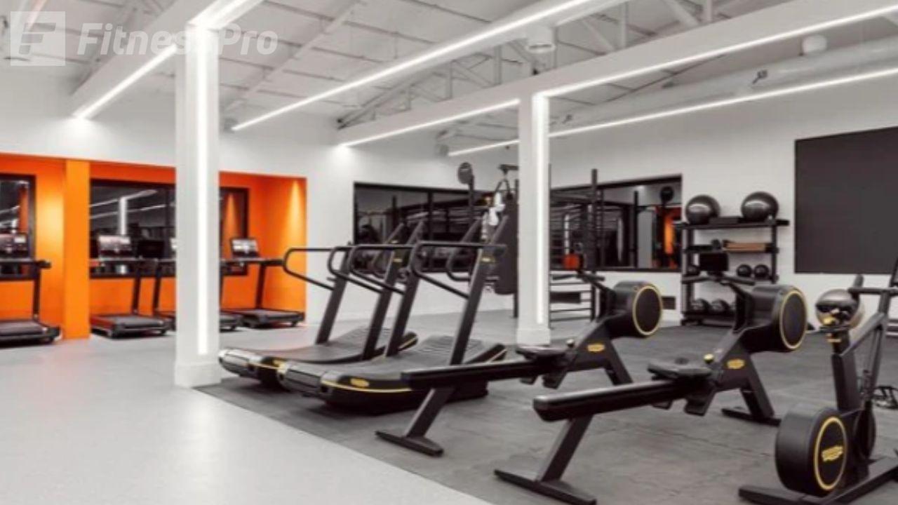 باشگاه وایت جیم (white gym) 